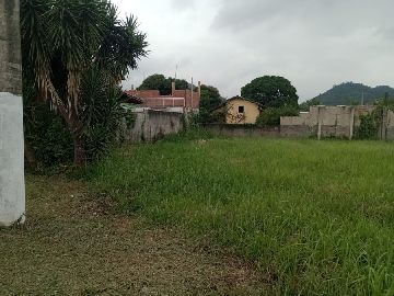 Foto de frente