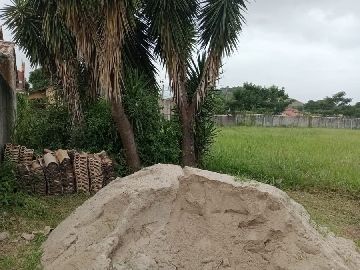 Foto de frente