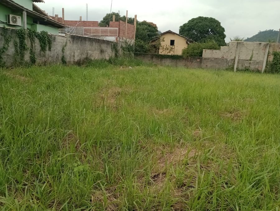 Foto de frente