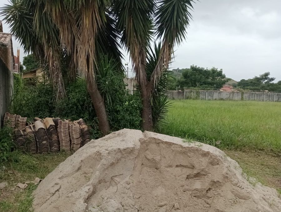 Foto de frente
