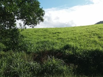 Terreno Condomnio Pedra Verde