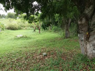 Terreno Condomnio Pedra Verde
